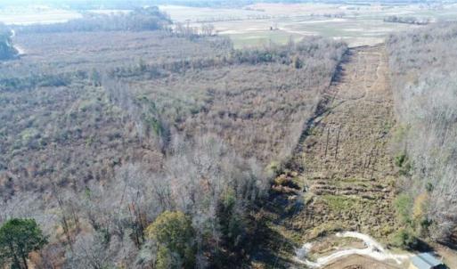 Photo of 93 Acres of Commercial Development and Hunting Land For Sale in Pitt County NC!