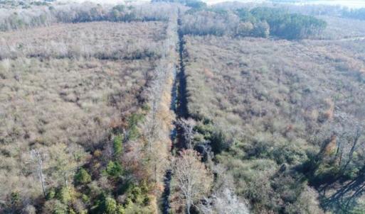 Photo of 93 Acres of Commercial Development and Hunting Land For Sale in Pitt County NC!