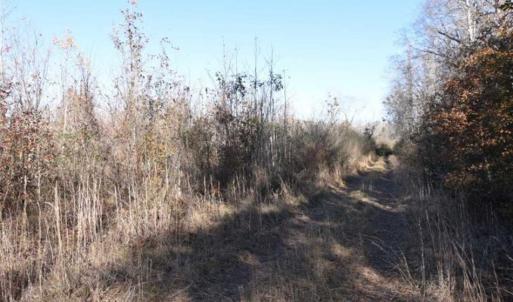 Photo of 93 Acres of Commercial Development and Hunting Land For Sale in Pitt County NC!