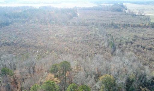 Photo of 93 Acres of Commercial Development and Hunting Land For Sale in Pitt County NC!