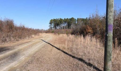 Photo of 93 Acres of Commercial Development and Hunting Land For Sale in Pitt County NC!
