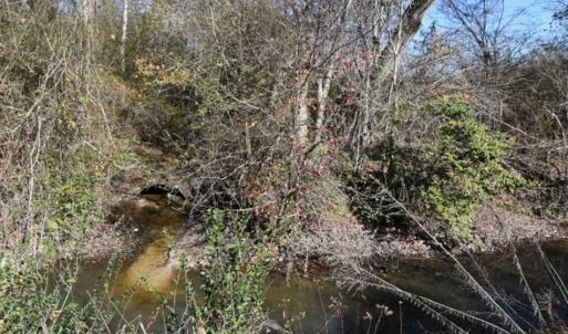 Photo of 93 Acres of Commercial Development and Hunting Land For Sale in Pitt County NC!