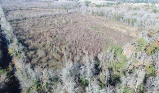 Photo of 93 Acres of Commercial Development and Hunting Land For Sale in Pitt County NC!