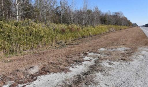 Photo of 93 Acres of Commercial Development and Hunting Land For Sale in Pitt County NC!