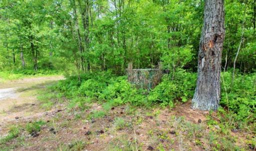Photo of UNDER CONTRACT!!  117 Acres of Hunting and Timber Land with Cabin and Pond For Sale in Jones County!