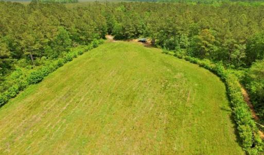 Photo of UNDER CONTRACT!!  117 Acres of Hunting and Timber Land with Cabin and Pond For Sale in Jones County!