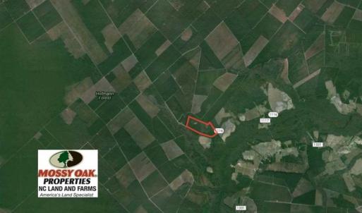 Photo of UNDER CONTRACT!!  117 Acres of Hunting and Timber Land with Cabin and Pond For Sale in Jones County!