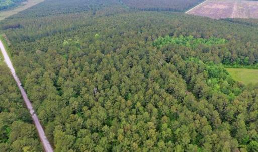 Photo of UNDER CONTRACT!!  117 Acres of Hunting and Timber Land with Cabin and Pond For Sale in Jones County!