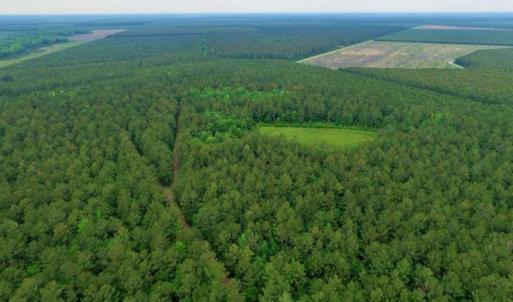 Photo of UNDER CONTRACT!!  117 Acres of Hunting and Timber Land with Cabin and Pond For Sale in Jones County!