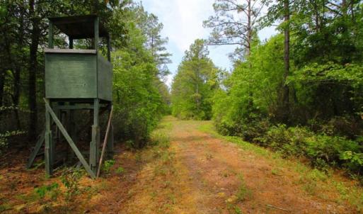 Photo of UNDER CONTRACT!!  117 Acres of Hunting and Timber Land with Cabin and Pond For Sale in Jones County!