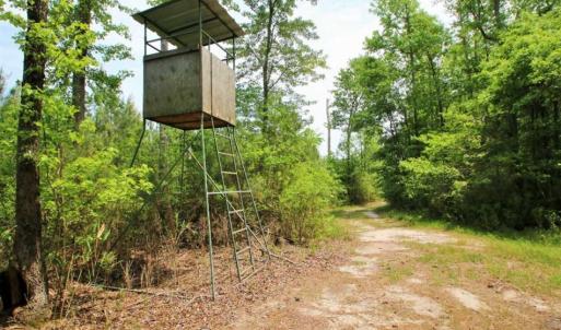 Photo of UNDER CONTRACT!!  117 Acres of Hunting and Timber Land with Cabin and Pond For Sale in Jones County!