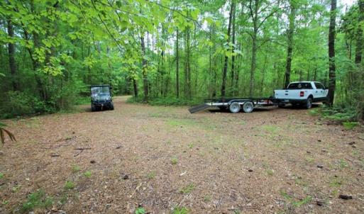 Photo of UNDER CONTRACT!!  117 Acres of Hunting and Timber Land with Cabin and Pond For Sale in Jones County!