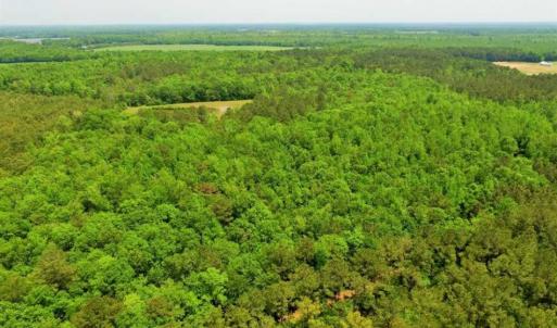 Photo of UNDER CONTRACT!!  117 Acres of Hunting and Timber Land with Cabin and Pond For Sale in Jones County!
