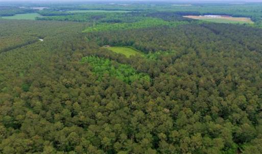 Photo of UNDER CONTRACT!!  117 Acres of Hunting and Timber Land with Cabin and Pond For Sale in Jones County!
