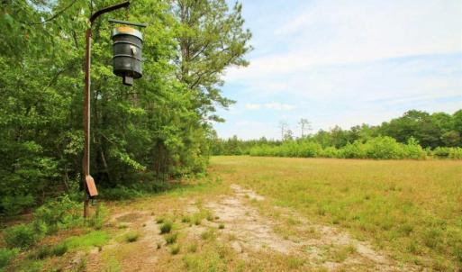 Photo of UNDER CONTRACT!!  117 Acres of Hunting and Timber Land with Cabin and Pond For Sale in Jones County!