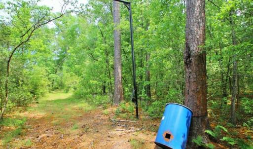 Photo of UNDER CONTRACT!!  117 Acres of Hunting and Timber Land with Cabin and Pond For Sale in Jones County!