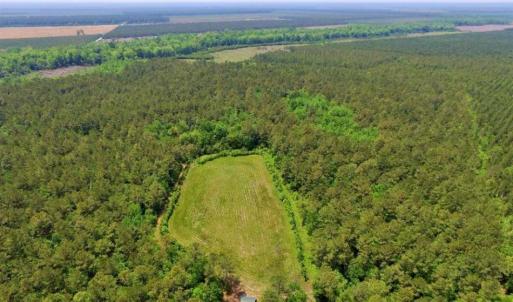 Photo of UNDER CONTRACT!!  117 Acres of Hunting and Timber Land with Cabin and Pond For Sale in Jones County!