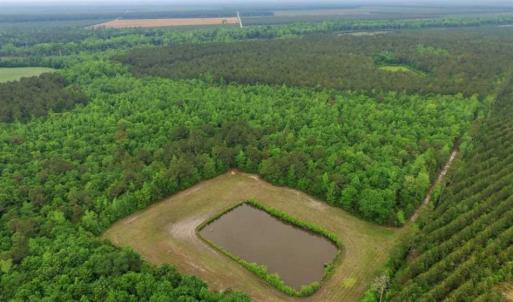 Photo of UNDER CONTRACT!!  117 Acres of Hunting and Timber Land with Cabin and Pond For Sale in Jones County!