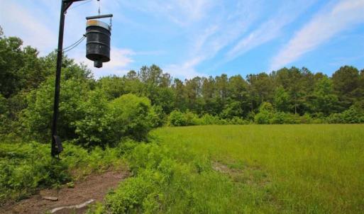 Photo of UNDER CONTRACT!!  117 Acres of Hunting and Timber Land with Cabin and Pond For Sale in Jones County!