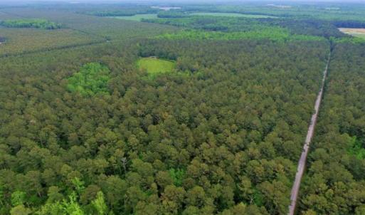 Photo of UNDER CONTRACT!!  117 Acres of Hunting and Timber Land with Cabin and Pond For Sale in Jones County!