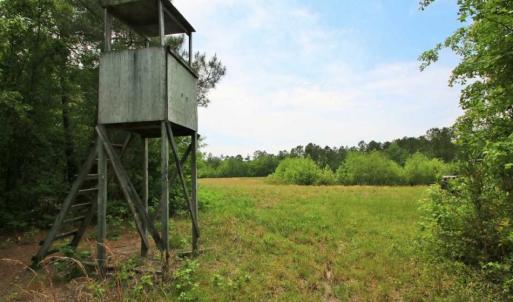 Photo of UNDER CONTRACT!!  117 Acres of Hunting and Timber Land with Cabin and Pond For Sale in Jones County!