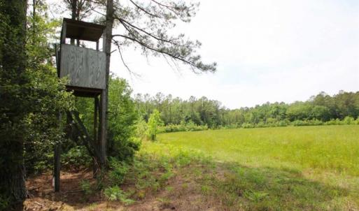 Photo of UNDER CONTRACT!!  117 Acres of Hunting and Timber Land with Cabin and Pond For Sale in Jones County!