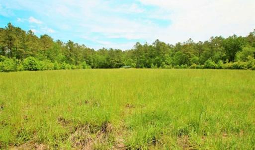 Photo of UNDER CONTRACT!!  117 Acres of Hunting and Timber Land with Cabin and Pond For Sale in Jones County!