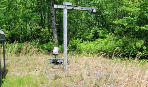 Photo of UNDER CONTRACT!!  117 Acres of Hunting and Timber Land with Cabin and Pond For Sale in Jones County!