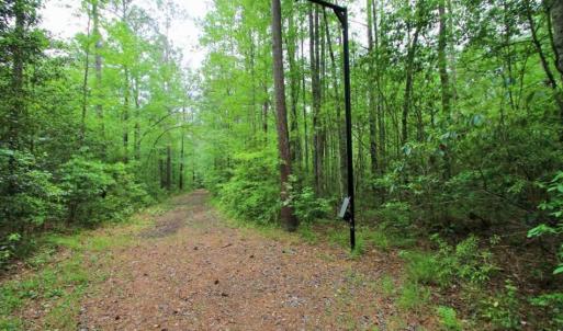 Photo of UNDER CONTRACT!!  117 Acres of Hunting and Timber Land with Cabin and Pond For Sale in Jones County!