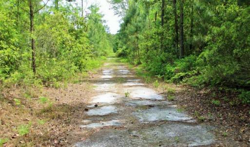 Photo of UNDER CONTRACT!!  117 Acres of Hunting and Timber Land with Cabin and Pond For Sale in Jones County!