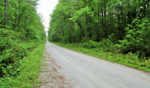 Photo of UNDER CONTRACT!!  117 Acres of Hunting and Timber Land with Cabin and Pond For Sale in Jones County!