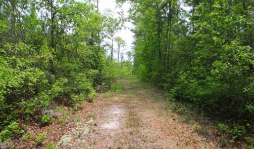Photo of UNDER CONTRACT!!  117 Acres of Hunting and Timber Land with Cabin and Pond For Sale in Jones County!