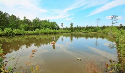 Photo of UNDER CONTRACT!!  117 Acres of Hunting and Timber Land with Cabin and Pond For Sale in Jones County!