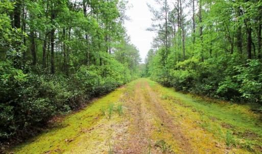 Photo of UNDER CONTRACT!!  117 Acres of Hunting and Timber Land with Cabin and Pond For Sale in Jones County!
