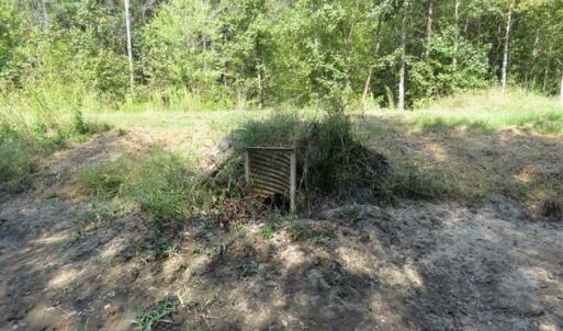Photo of SOLD!!  174 Acres of Hunting Land For Sale in Dillon County SC!