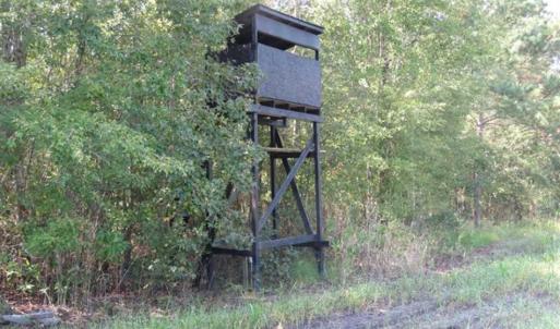 Photo of SOLD!!  174 Acres of Hunting Land For Sale in Dillon County SC!