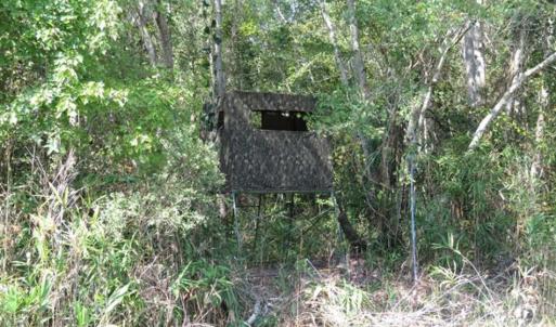 Photo of SOLD!!  174 Acres of Hunting Land For Sale in Dillon County SC!