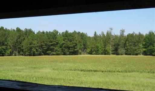 Photo of SOLD!!  174 Acres of Hunting Land For Sale in Dillon County SC!