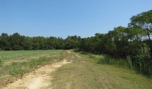 Photo of SOLD!!  174 Acres of Hunting Land For Sale in Dillon County SC!