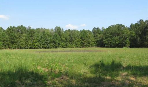 Photo of SOLD!!  174 Acres of Hunting Land For Sale in Dillon County SC!