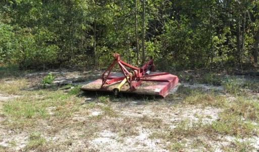 Photo of SOLD!!  174 Acres of Hunting Land For Sale in Dillon County SC!
