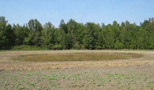 Photo of SOLD!!  174 Acres of Hunting Land For Sale in Dillon County SC!