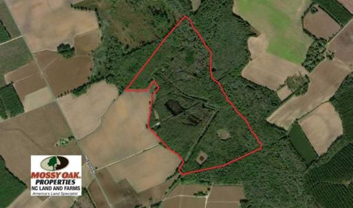 Photo of SOLD!!  174 Acres of Hunting Land For Sale in Dillon County SC!