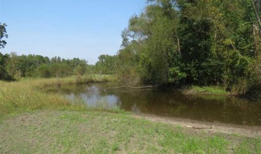 Photo of SOLD!!  174 Acres of Hunting Land For Sale in Dillon County SC!