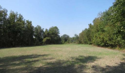 Photo of SOLD!!  174 Acres of Hunting Land For Sale in Dillon County SC!