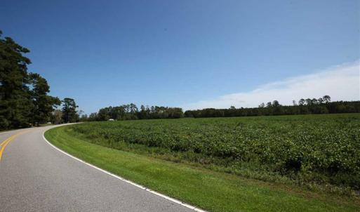 Photo of SOLD!!  52 Acres of Farm and Hunting Land For Sale in Tyrrell County NC!