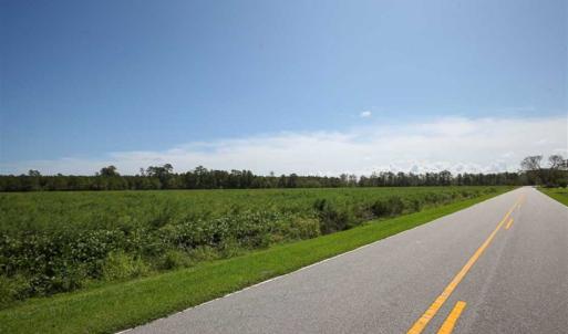 Photo of SOLD!!  52 Acres of Farm and Hunting Land For Sale in Tyrrell County NC!