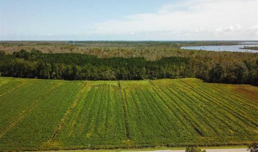 Photo of SOLD!!  52 Acres of Farm and Hunting Land For Sale in Tyrrell County NC!