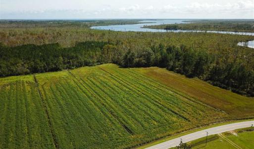 Photo of SOLD!!  52 Acres of Farm and Hunting Land For Sale in Tyrrell County NC!
