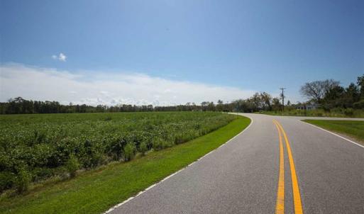 Photo of SOLD!!  52 Acres of Farm and Hunting Land For Sale in Tyrrell County NC!